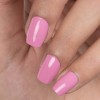 Koa Nail Polish 804 Rubellite