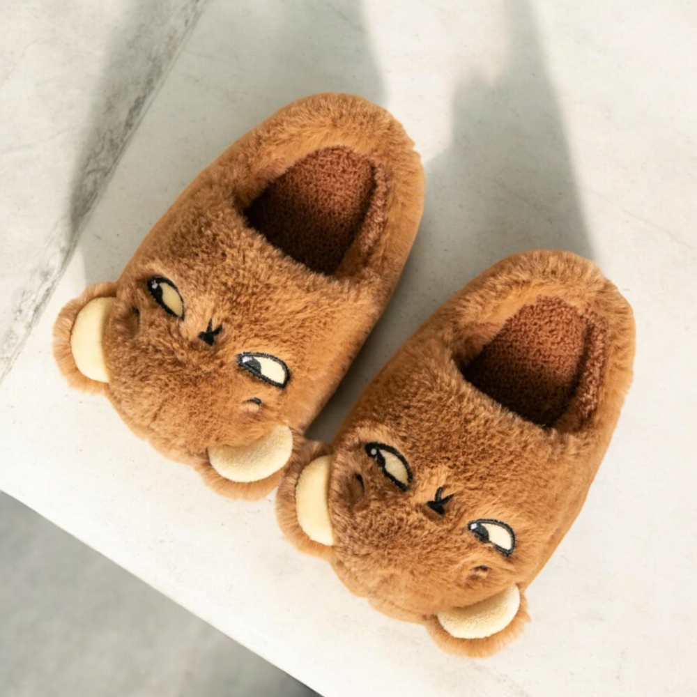 Woman Winter Slippers Plush Brown