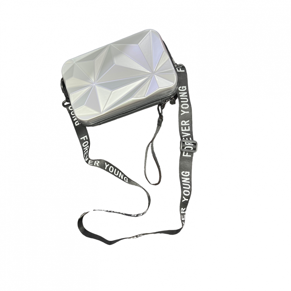 Woman Bag Box 3D - Grey