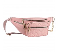 Women Waistbag Zippered Pink